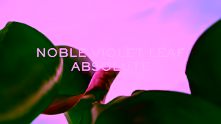 L'Oreal NEW LA VIE EST BELLE LELIXIR EAU DE PARFUM l LANCME Ad Commercial Brand Imagery Photoshoot 1