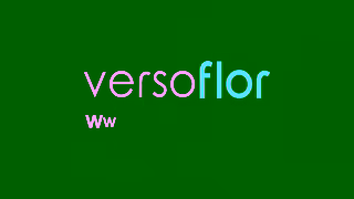 Versoflor Your wife called She says its time to upgrade your garage Ad Commercial Brand Imagery Photoshoot 2