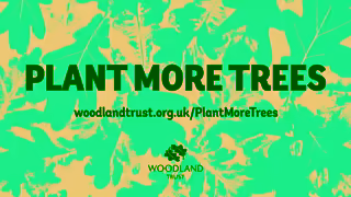 The Woodland Trust Plant more Trees YouTube Ad Ad Commercial Brand Imagery Photoshoot 2
