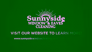 Consumer Choice Award Sunnyside Window Eaves Cleaning Ad Commercial Brand Imagery Photoshoot 2