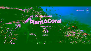 Garnier Garnier x Great Barrier Reef Foundation Plant a Coral 6B Ad Commercial Brand Imagery Photoshoot 0