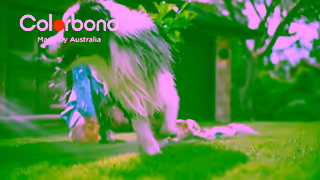 COLORBOND COLORBOND steel Made by Australia Ad Commercial Brand Imagery Photoshoot 1