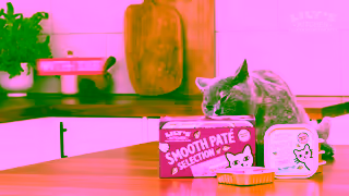 Lily's Kitchen Give them the best start Ad Commercial Brand Imagery Photoshoot 0