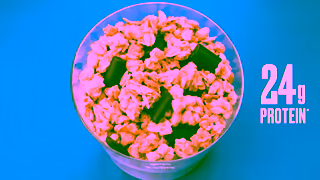 Kellogg's Try NEW Vector High Protein Granola Ad Commercial Brand Imagery Photoshoot 1