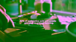 Maple Leaf Foods Prime Chicken Raised Without Antibiotics Ad Commercial Brand Imagery Photoshoot 0