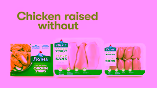 Maple Leaf Foods Prime Chicken Raised Without Antibiotics Ad Commercial Brand Imagery Photoshoot 2