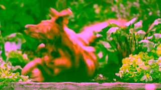 Scotts Scotts Organic Range 30 Ad Ad Commercial Brand Imagery Photoshoot 0