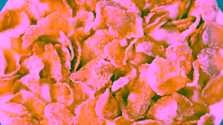 Kellogg's Rrrgal Les crales Kelloggs Frosted Flakes Ad Commercial Brand Imagery Photoshoot 1