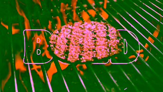 Burger King Video Ad Ad Commercial Brand Imagery Photoshoot 1