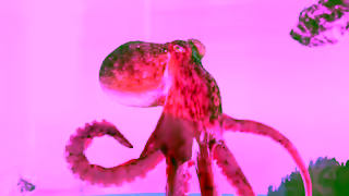 Explore Seattle Southside Microadventure After Microadventure in Seattle Southside Ad Commercial Brand Imagery Photoshoot 2