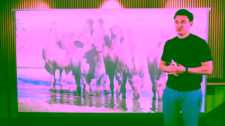 VIVIDSTORM vava projector and vividstorm 120 floor rising S PRO projection screen review Ad Commercial Brand Imagery Photoshoot 2