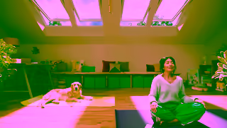 VELUX More control more comfort more savings Ad Commercial Brand Imagery Photoshoot 1