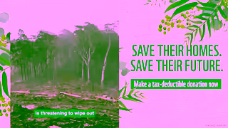 WWF Make A TaxDeductible Donation WWFAustralia Ad Commercial Brand Imagery Photoshoot 0