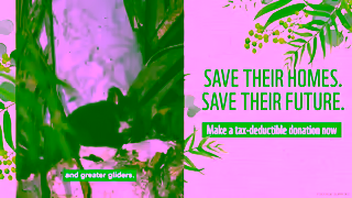 WWF Make A TaxDeductible Donation WWFAustralia Ad Commercial Brand Imagery Photoshoot 1