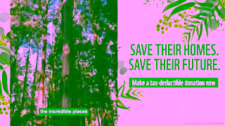 WWF Make A TaxDeductible Donation WWFAustralia Ad Commercial Brand Imagery Photoshoot 2