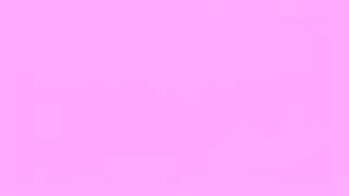 Hyundai The Hyundai ELANTRA wins every time Ad Commercial Brand Imagery Photoshoot 2