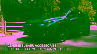 Subaru Unleash Adventure Genuine Subaru Accessories for Your FourLegged Sidekick Ad Commercial Brand Imagery Photoshoot 2