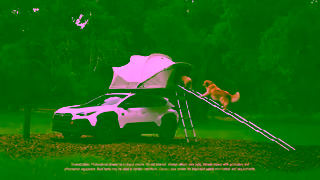 Subaru Subaru Dog Tested Everybody In Ad Commercial Brand Imagery Photoshoot 0
