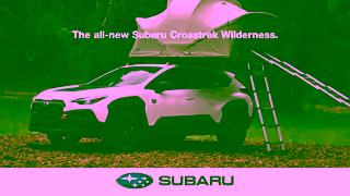 Subaru Subaru Dog Tested Everybody In Ad Commercial Brand Imagery Photoshoot 2