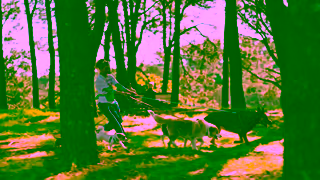 AMP AMP Bank GO 6s Taking care of mini business Ad Commercial Brand Imagery Photoshoot 0