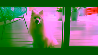 KFC KFCs 6 for 695 Tenders Ad Commercial Brand Imagery Photoshoot 1