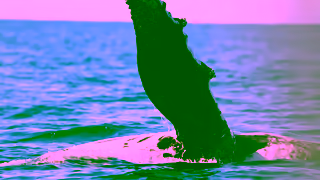 Fred Olsen Cruises Fred Olsen Scotland 30 seconds 16x9 Ad Commercial Brand Imagery Photoshoot 2