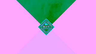 Blue Buffalo Love Made Fresh Chuck 15 V2 Ad Commercial Brand Imagery Photoshoot 2