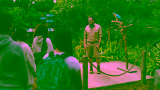 BMO Financial BMO BMO eclipse rise Visa Card Ad Commercial Brand Imagery Photoshoot 0