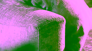 Calligaris Calligaris Wave Fixed or modular adjustable sofa Ad Commercial Brand Imagery Photoshoot 1