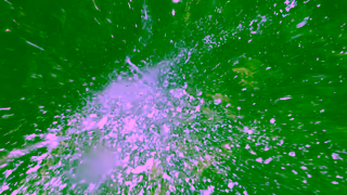 Maui Jim Maui Jim Color You Can Feel Ad Commercial Brand Imagery Photoshoot 2