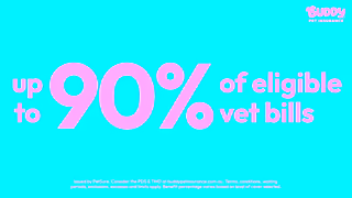 Buddy Pet Insurance H9910 Buddy 6sec Asset02 Youtube Ad Commercial Brand Imagery Photoshoot 1