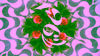 Sol de Janeiro Irresistible Sunny Ad Commercial Brand Imagery Photoshoot 0