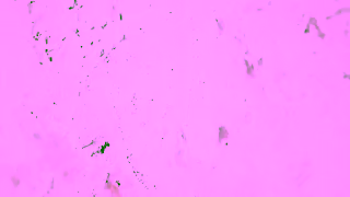 Brooks Brothers YT Womens Spring 24 16x9 Ad Commercial Brand Imagery Photoshoot 1