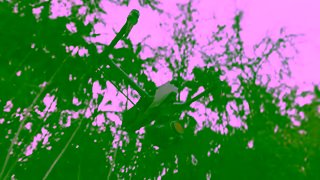 Jackery.com What Can Jackery Power Spring Adventures Photography Series Ad Commercial Brand Imagery Photoshoot 2