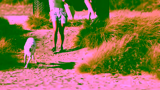 Halo Collar TV Big Dog Small Dog Ad Commercial Brand Imagery Photoshoot 2