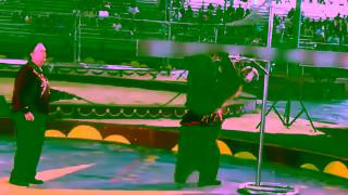 PETA Urge Shriners International to Oppose Cruel Animal Circuses Ad Commercial Brand Imagery Photoshoot 2