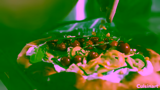 Cuisinart Flatbread with the 14 Cup Food Processor Ad Commercial Brand Imagery Photoshoot 2