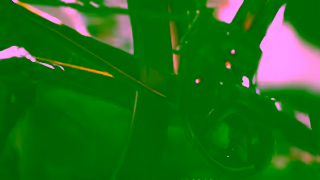 GIANT Bicycles GIANT TCR Product 15 16x9 Ad Commercial Brand Imagery Photoshoot 0