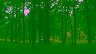 CarGurus CarGurus Buying a car is a big deal Ad Commercial Brand Imagery Photoshoot 1