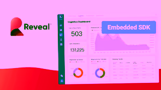 Reveal BI Take Complete Control Over Your App with Reveals SDK Ad Commercial Brand Imagery Photoshoot 0
