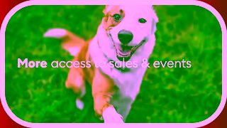 PetSmart PetSmart Treats Rewards Loyalty Program Earn Points Rewards Ad Commercial Brand Imagery Photoshoot 2