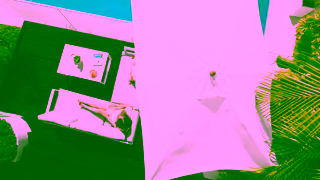 Bunnings Warehouse BMIMA26001 Mimosa FY26 AU MIMOSA 15 AU ONLINE 1 Ad Commercial Brand Imagery Photoshoot 1