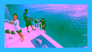 Aggressor Adventures Offering the worlds best scuba diving Ad Commercial Brand Imagery Photoshoot 1