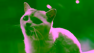 Grammarly AI youll wish you had last year Predict your grade with Grammarly Ad Commercial Brand Imagery Photoshoot 2