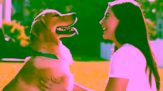 Purina Feed DentaLife Dental Dog Treats For a Clean Healthy Mouth Purina DentaLife Ad Commercial Brand Imagery Photoshoot 2