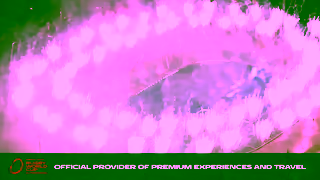 World Rugby Rugby World Cup 2027 Experiences Ad Commercial Brand Imagery Photoshoot 1