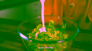 Gousto Variety Seeker Gousto Ad Commercial Brand Imagery Photoshoot 1