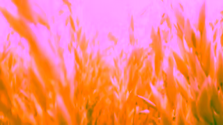 MadeGood Foods Highly Thoughtful Snacks Organic MadeGood Ad Commercial Brand Imagery Photoshoot 1