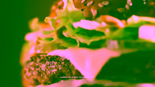 McDonalds Maccas NEW Big Arch is here Ad Commercial Brand Imagery Photoshoot 0