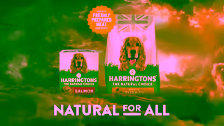 HARRINGTONS Harringtons TV Advert 2023 Yorkshire Terry 10 second version 1 Ad Commercial Brand Imagery Photoshoot 2